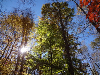 Fototapeta premium In love with Nature