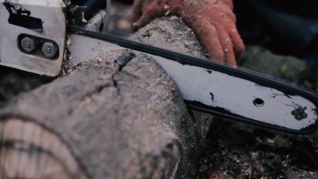 Close up utting through wood with chainsaw