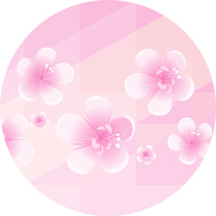 Light Pink flowers isolated on soft Pink polygonal background in circle. Apple-tree flowers. Cherry blossom. Vector