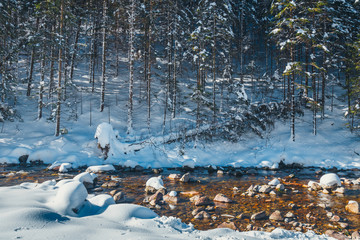 winter mountain river in the forest, Tatra mountains, Poland