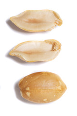 peanuts on a white background
