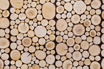 pieces of round teak wood stump background