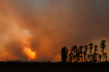 Florida Wildfire at Sunset