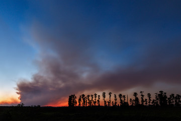 Florida Wildfire at Sunset