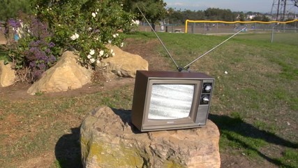 Vintage television static on park rock, wide