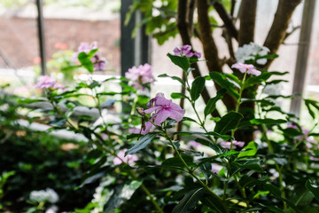 Botanischer Garten der Uni Greifswald