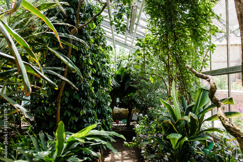 Botanischer Garten Der Uni Greifswald Stockfotos Und Lizenzfreie