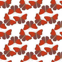 Colorful butterflies with abstract decorative seamless pattern background fly present silhouette and beauty nature spring insect decoration vector illustration.