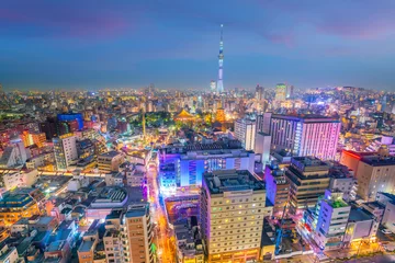 Poster Panoramafoto van de skyline van de stad Tokio © f11photo