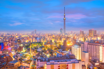 Obraz premium Panorama strzału panoramę miasta Tokio