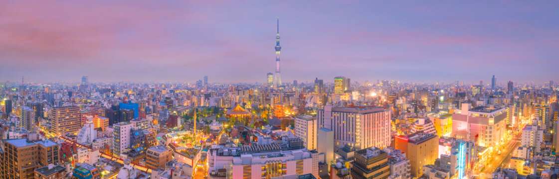 Panorama shot of Tokyo city skyline