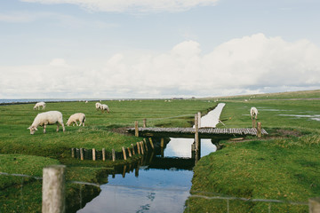 Impressionen aus Nordfriesland
