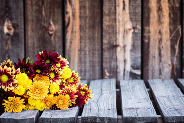An assortment of mums in a bunch on a rustic wooden table.