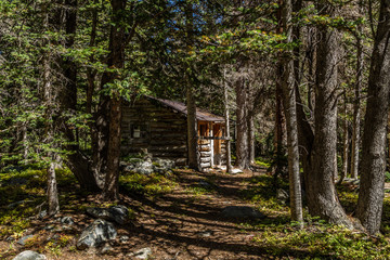 Deep Woods Cabin