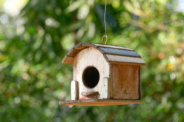 Bird house made on old wood hanging on tree