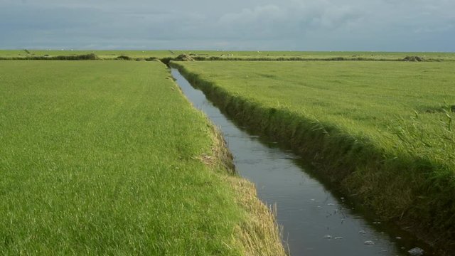 rain water flowing through a drainage ditch canal in farmland below sea level