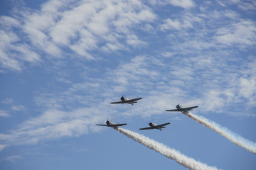 Veteran's Day US Army Performance