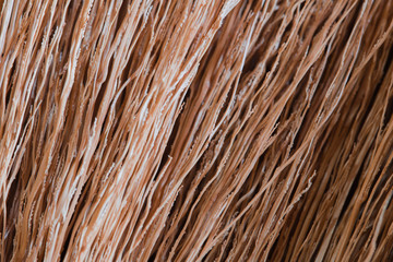 close-up Natural broom texture. Abstract background.