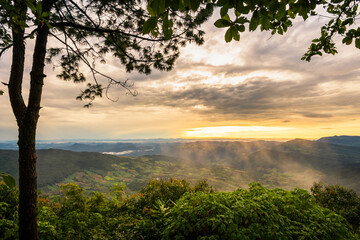 Landscape of pine tree from the top of mountain on sunrise