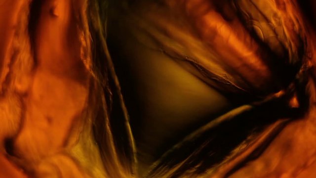 Chemical reaction under microscope