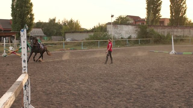 Girl is teaching a black horse to run around in a circle on a horse farm in the fall at sunset. Slow motion. Horse riding, Racecourse.