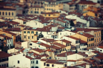 Fototapeta premium Florence old building roof tilt-shift