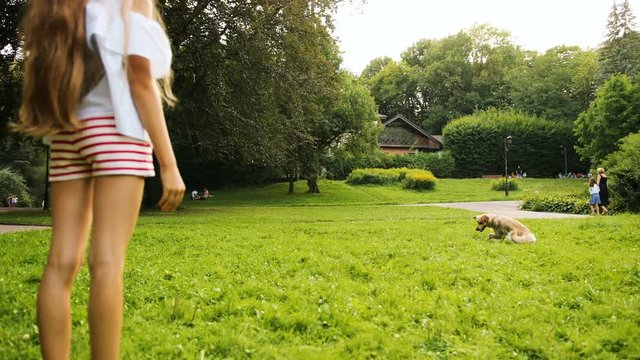 A long-haired girl happily playing frisbee with her labrador dog in the park on summer day.