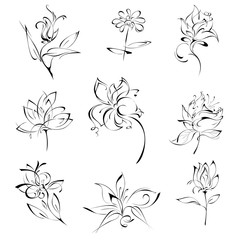 flowers 16. SET. stylized flowers in black lines on a white background. SET