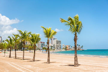 Puerto Rico San Juan beach landscape with palm trees in tropical famous tourist attraction destination in the Caribbean. Puerto Rico island, US territory.