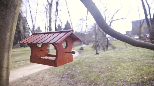 Bird house hang from tree wide shot 4K
