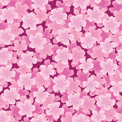 Clusters of Sakura Blossom