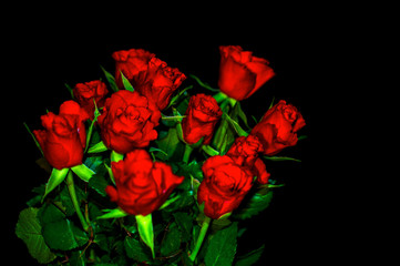 Red roses on the black background