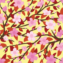 Fototapeta na wymiar Sakura Blossoms with Branch