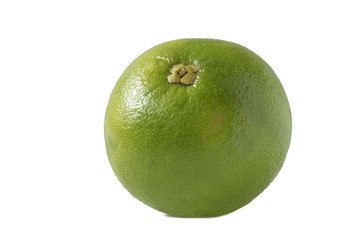 one big green grapefruit
