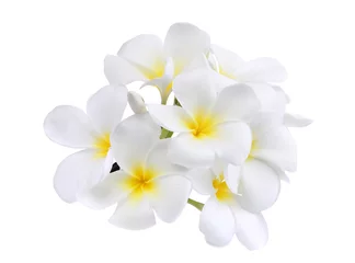 Zelfklevend Fotobehang witte frangipani (plumeria) bloem geïsoleerd op een witte achtergrond © boonchuay1970