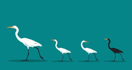 Obraz premium Vector of walking bird on blue background, Difference concept. Animal Idea.