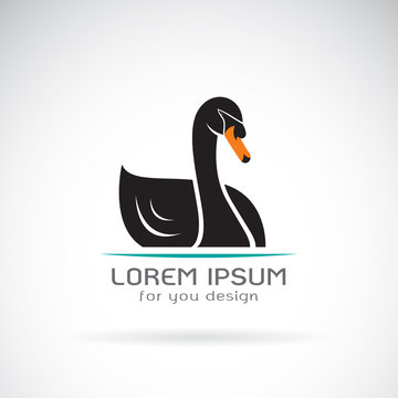 Vector of a black swan design on white background. Logo. Wild Animal.