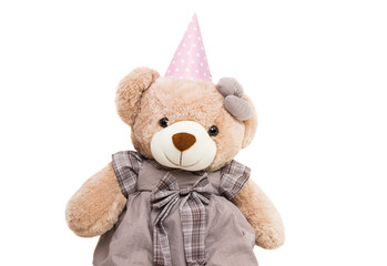 Big Bear soft toy isolated