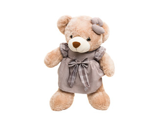 Big Bear soft toy isolated