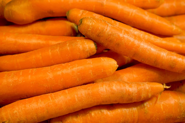 bunch of carrots close up