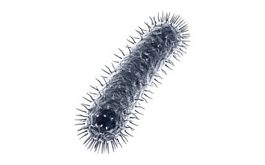 3d rendered Bacteria cells in white background