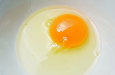 raw yolk and white egg cracked from shell in cup