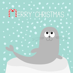 Merry Christmas Candy cane text. Sea lion. Harp seal pup lying on iceberg ice. Cute cartoon character. Happy baby animal collection. Sea ocean water. Winter snow flake background. Flat design