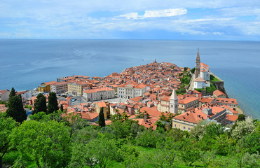 Fototapeta premium View of Piran town in Slovenia