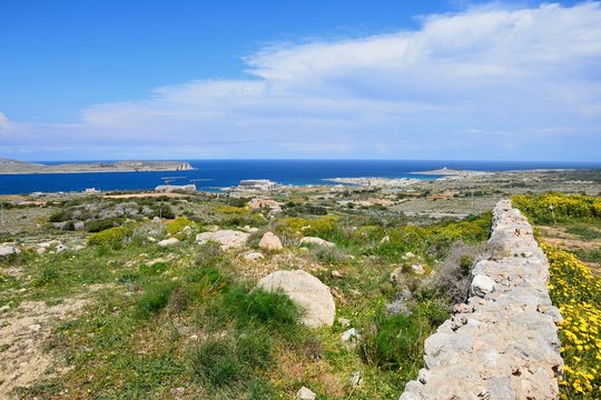 Views towards Gozo and Comino seen from the Red Fort with yellow wildflowers in the foreground, Malta.
