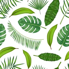 Fotobehang Tropische bladeren Realistic Detailed Green Leaves of Plants Background Pattern. Vector