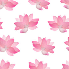Fototapeta na wymiar Realistic Detailed Pink Lotus Flower Background Pattern. Vector