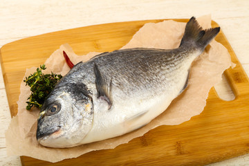 raw dorada fish