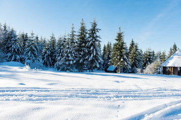 Fototapeta premium beautiful winter landscape on a sunny day