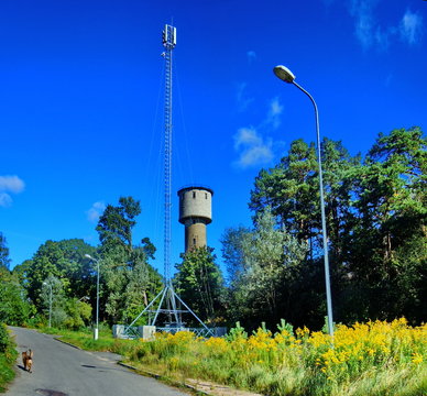 Antenna, water tower, lantern and small, brown dog